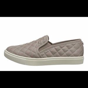 Steve Madden Ecentrcq Sneaker